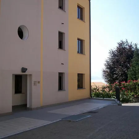 Mimosa * San Siro (Lombardy)